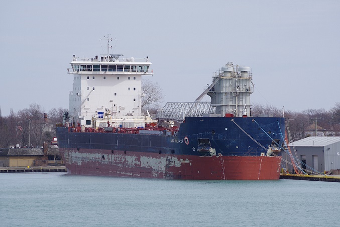 Algoma Innovator undergoing maintenance at the Government Dock in Sarnia, March 22, 2020. Photo by Isaac Pennock